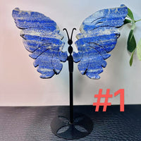 Nature Crystal Butterfly Wing