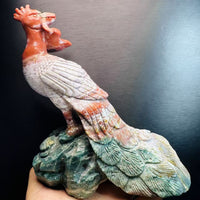 Ocean Jasper Peacock