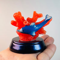 Coral Sphere Holder