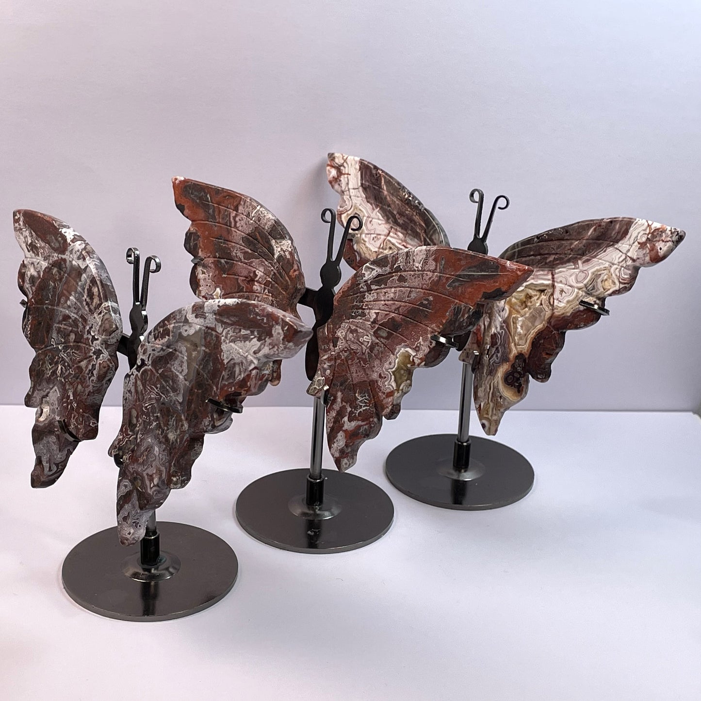 Sculpture Natural Butterfly Wing