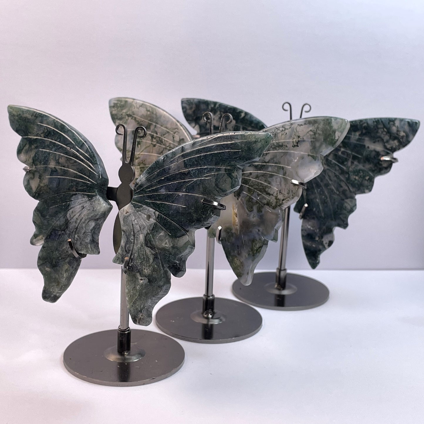 Sculpture Natural Butterfly Wing